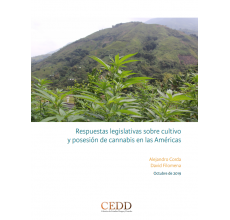 Respuestas legislativas sobre cultivo y posesión de cannabis en las Américas